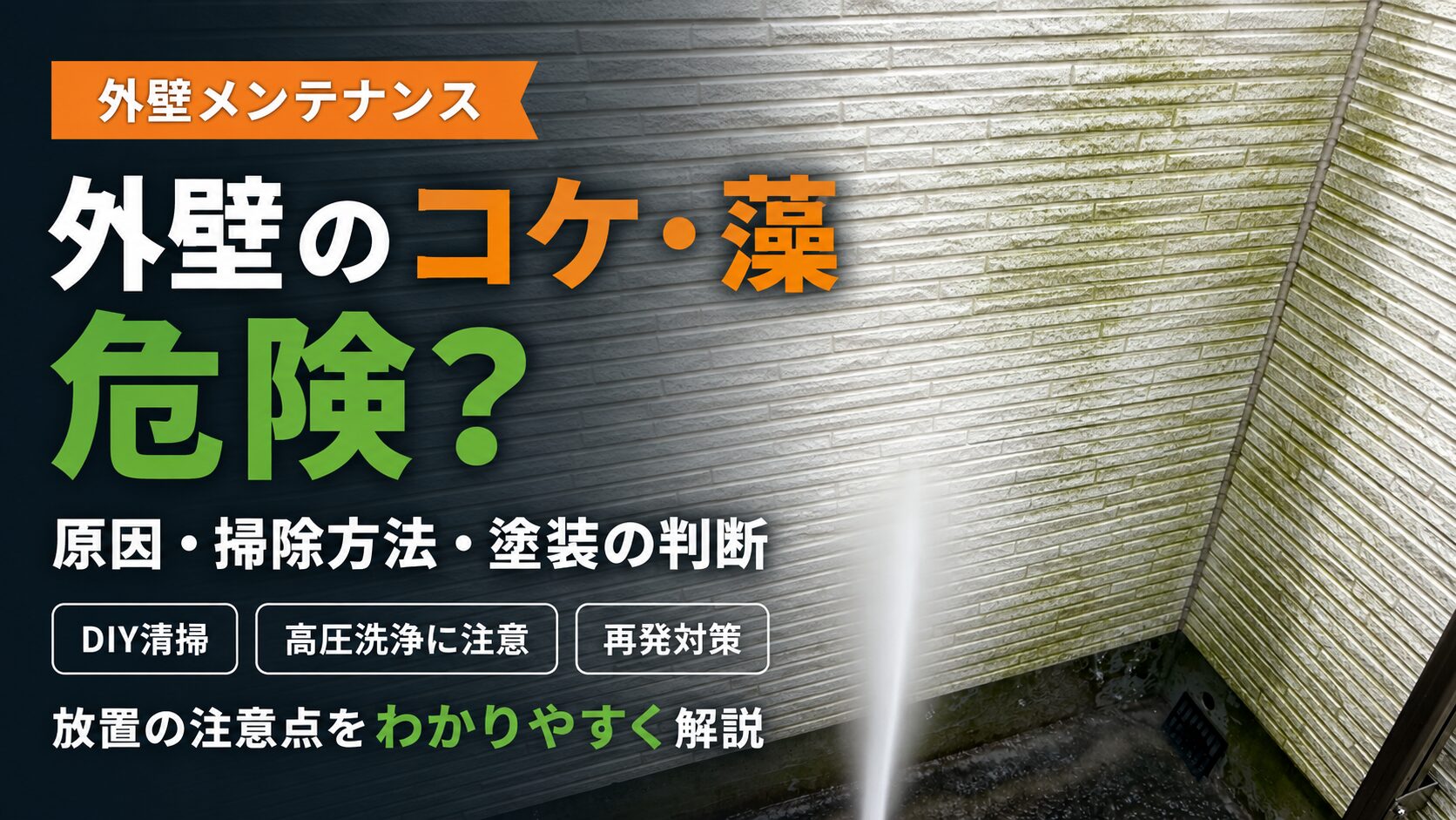 【あなたのお家は大丈夫？】外壁についているコケや藻の危険性について