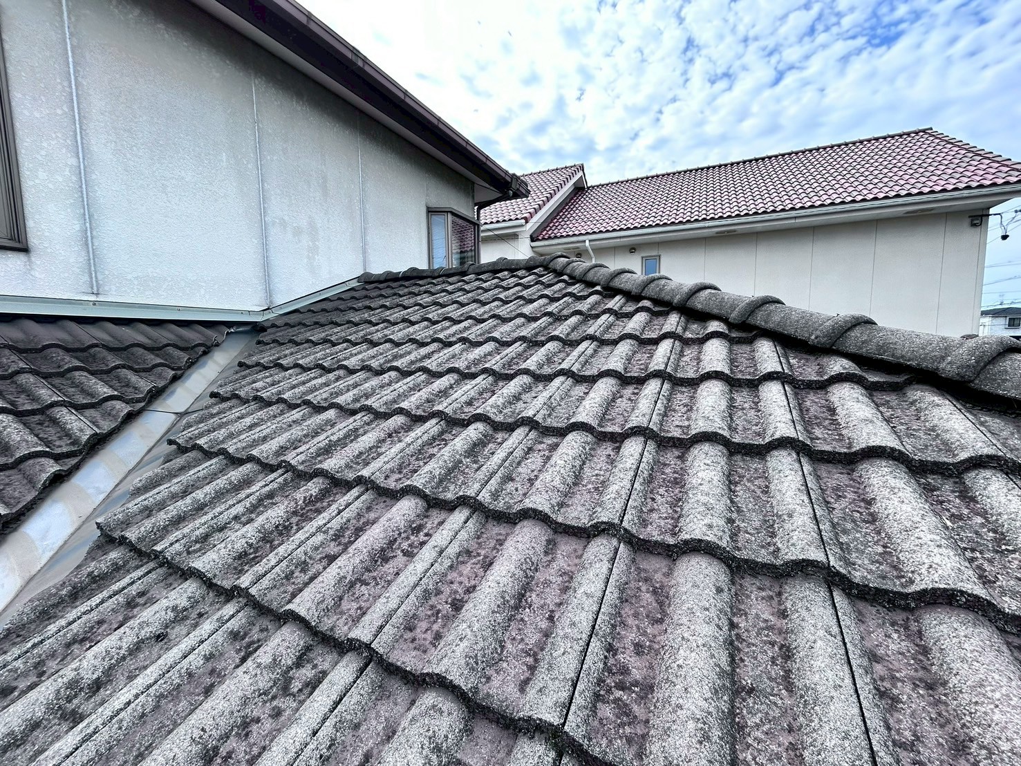名古屋市緑区の築25年以上のモニエル瓦屋根施工前。コケと表面劣化が見られる状態