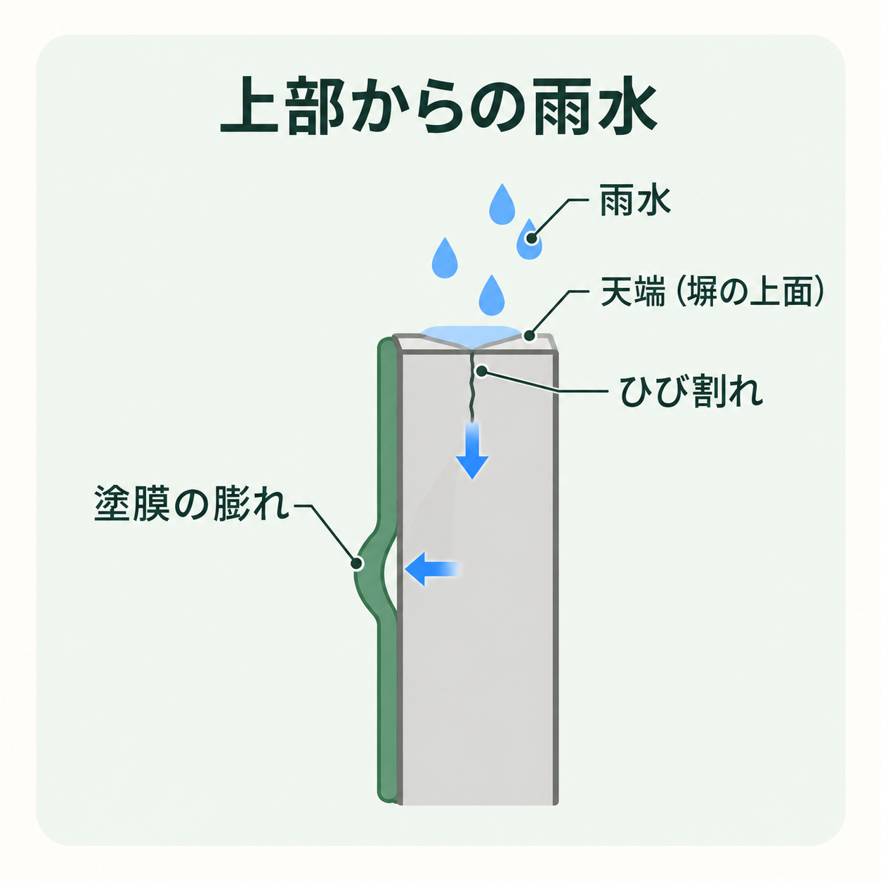 塀の断面図。上面に残る雨水や天端のひび割れから、水分が塀へ入る経路を示す