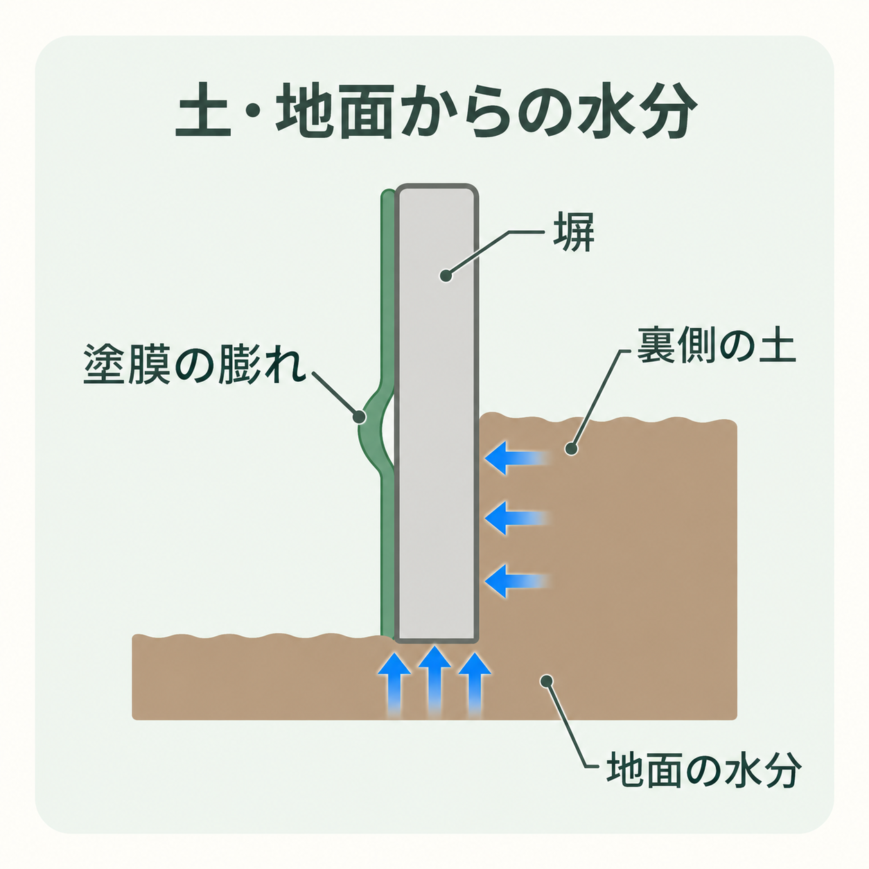 塀の断面図。裏側の土と地面から塀へ水分が入り、表面の塗膜の膨れにつながる場合があることを示す
